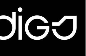 logo digs pickleball