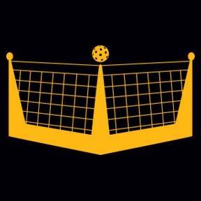 logo dinking pickleball